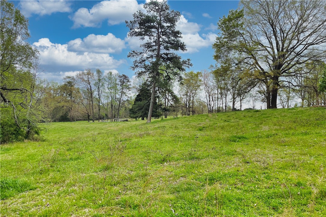 0 Hawkins Circle Inman, SC 29349 - Photo 8 of 21 Gallery Image 8