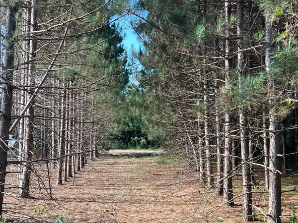 $425,000 | Lot 6 See Gull Cove, Brainerd, MN 56401