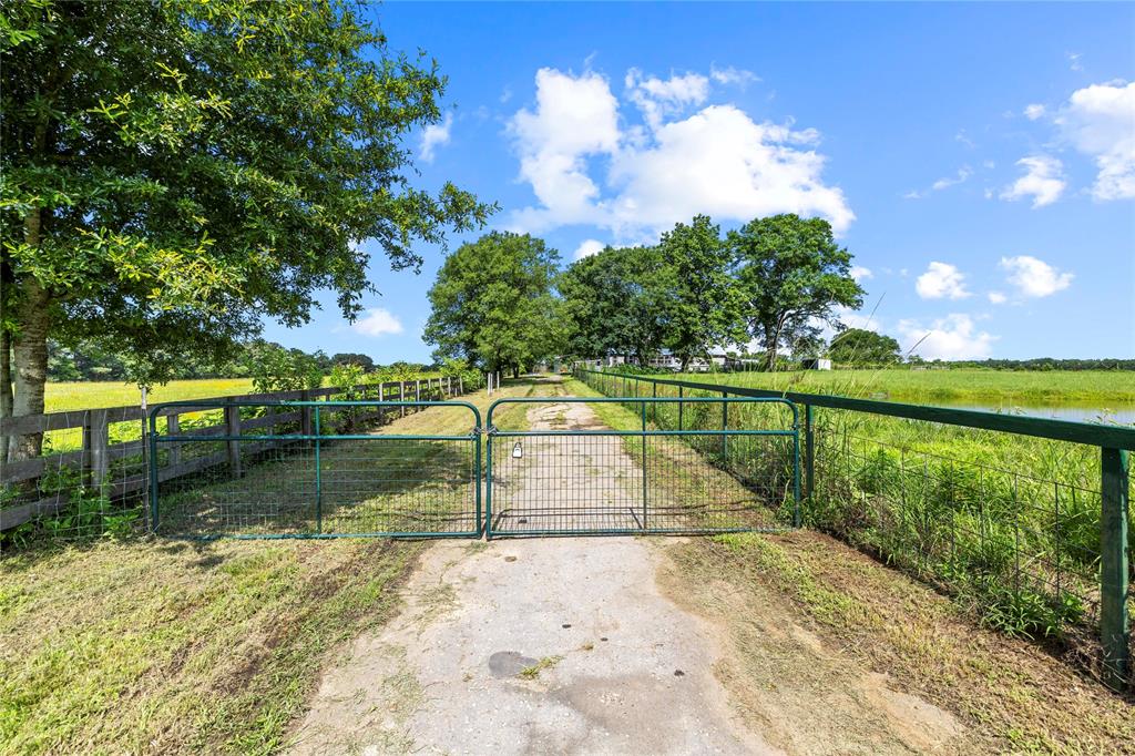 1992 County Road 3160 Cookville, TX 75558 - Photo 1 of 1 a view of a park with large trees
