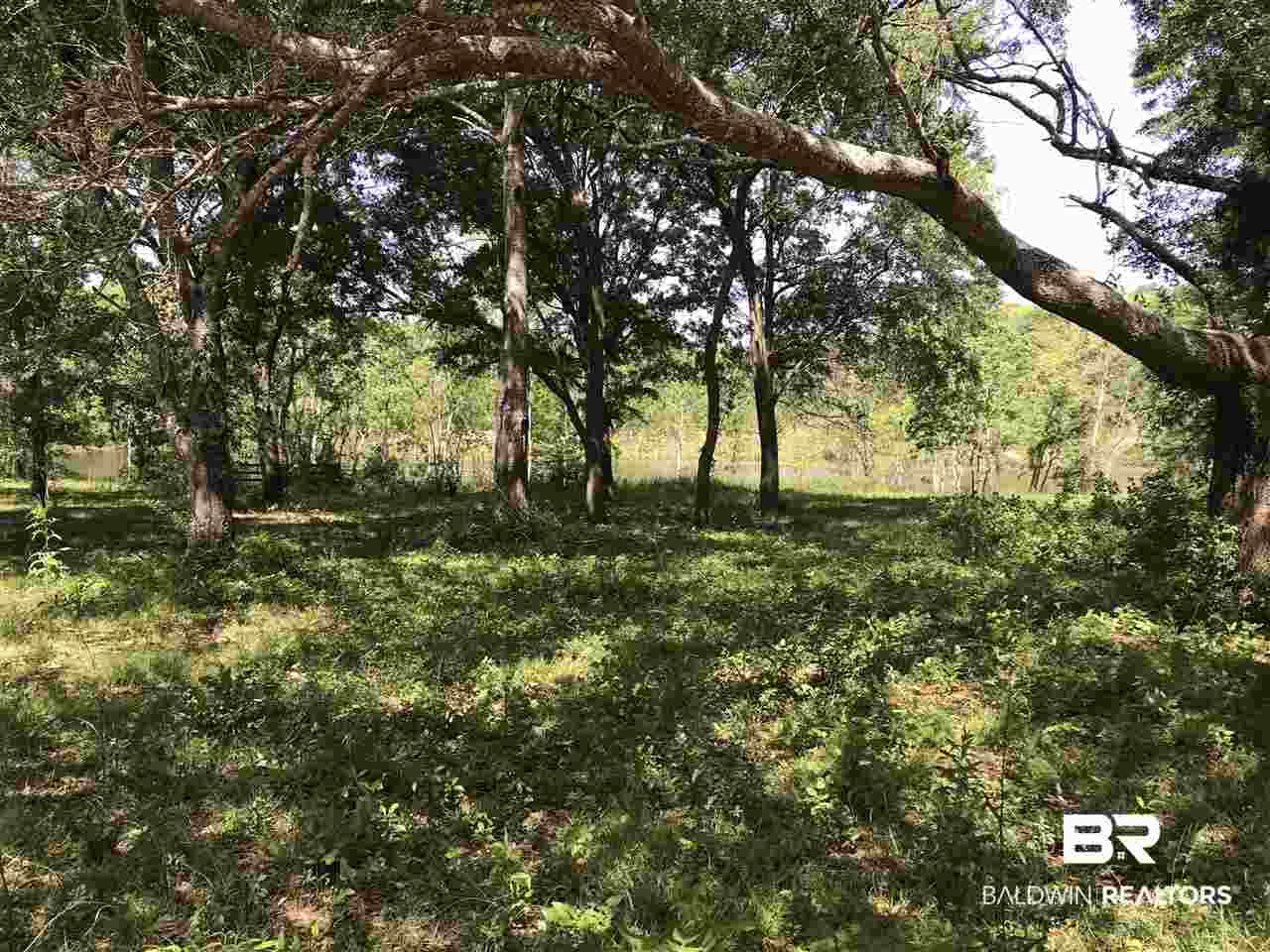 0 Beasley Road Foley, AL 36535 - Photo 20 of 29