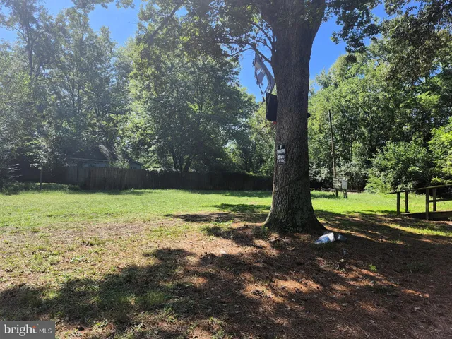 a view of backyard with large trees
