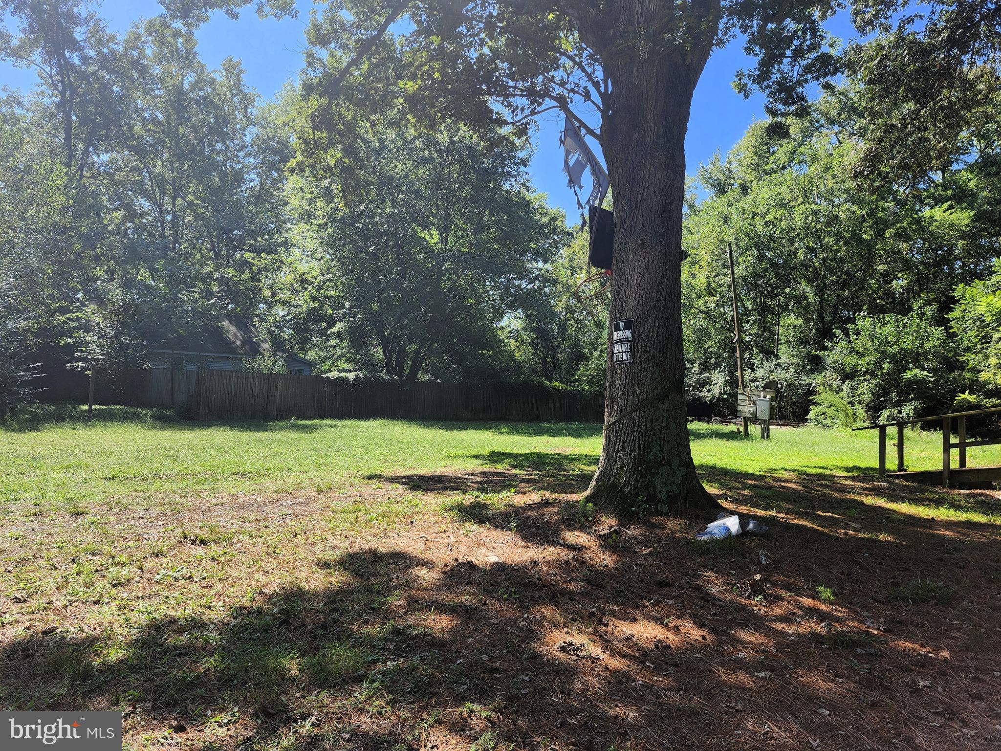 3960 St Lukes Road Salisbury, MD 21804 - Photo 1 of 10 a view of backyard with large trees