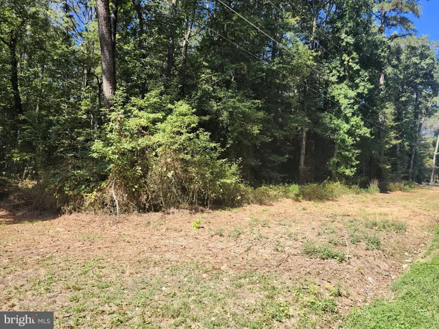 a view of a yard covered in snow