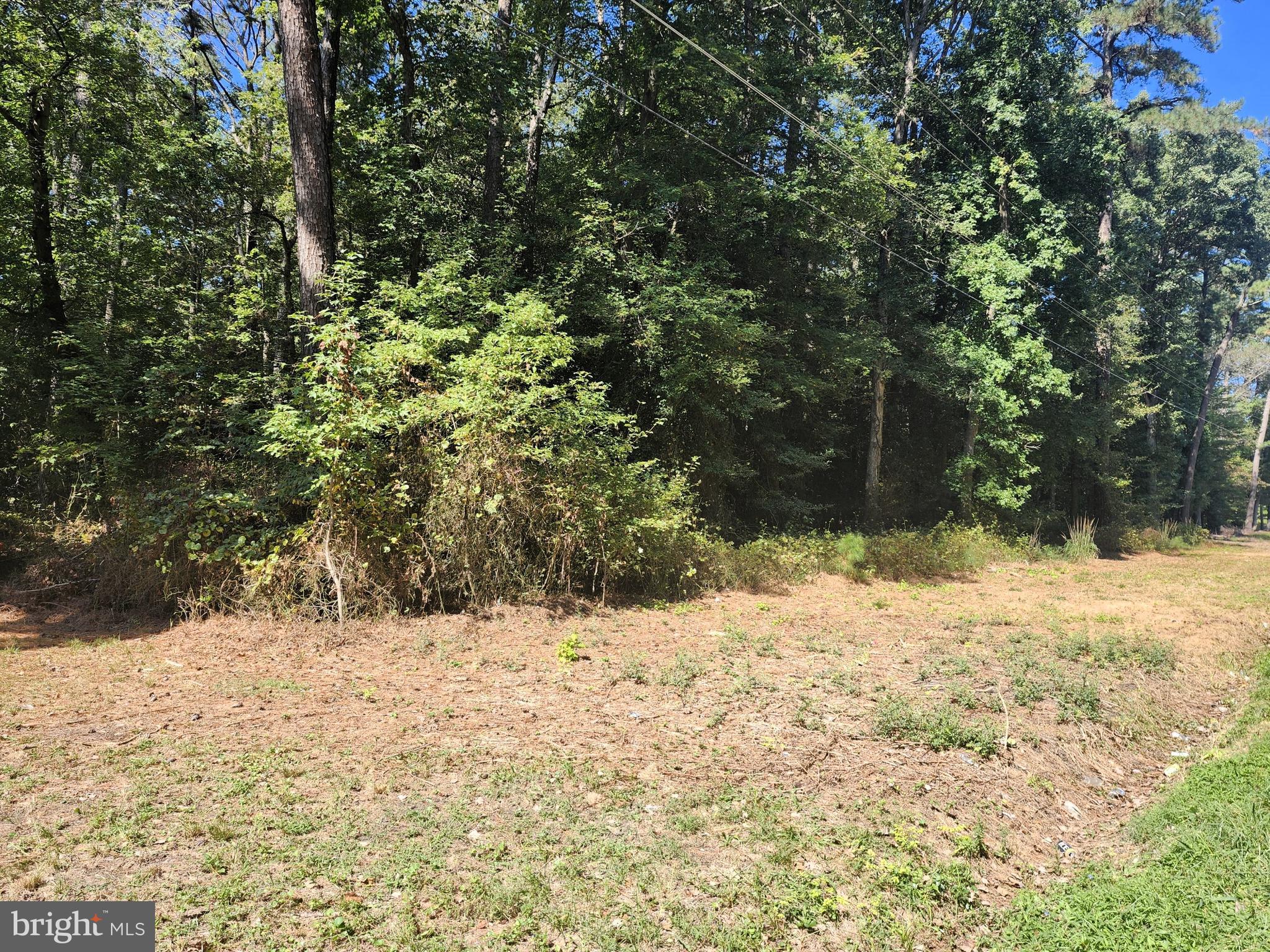 3960 St Lukes Road Salisbury, MD 21804 - Photo 3 of 10 a view of a yard covered in snow