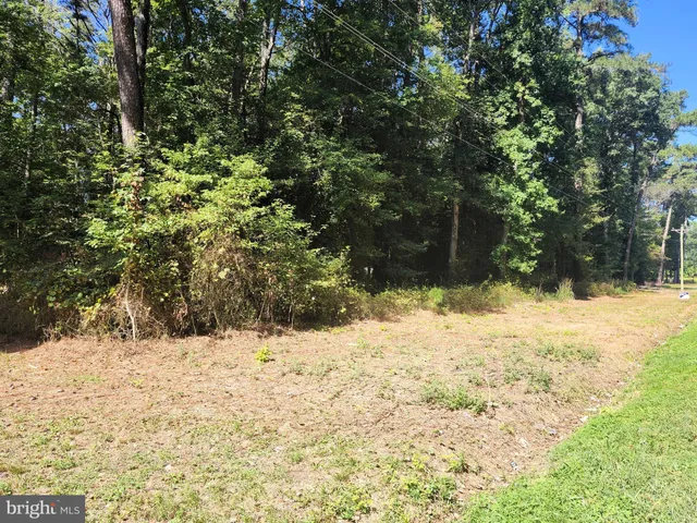 a view of a yard covered in snow