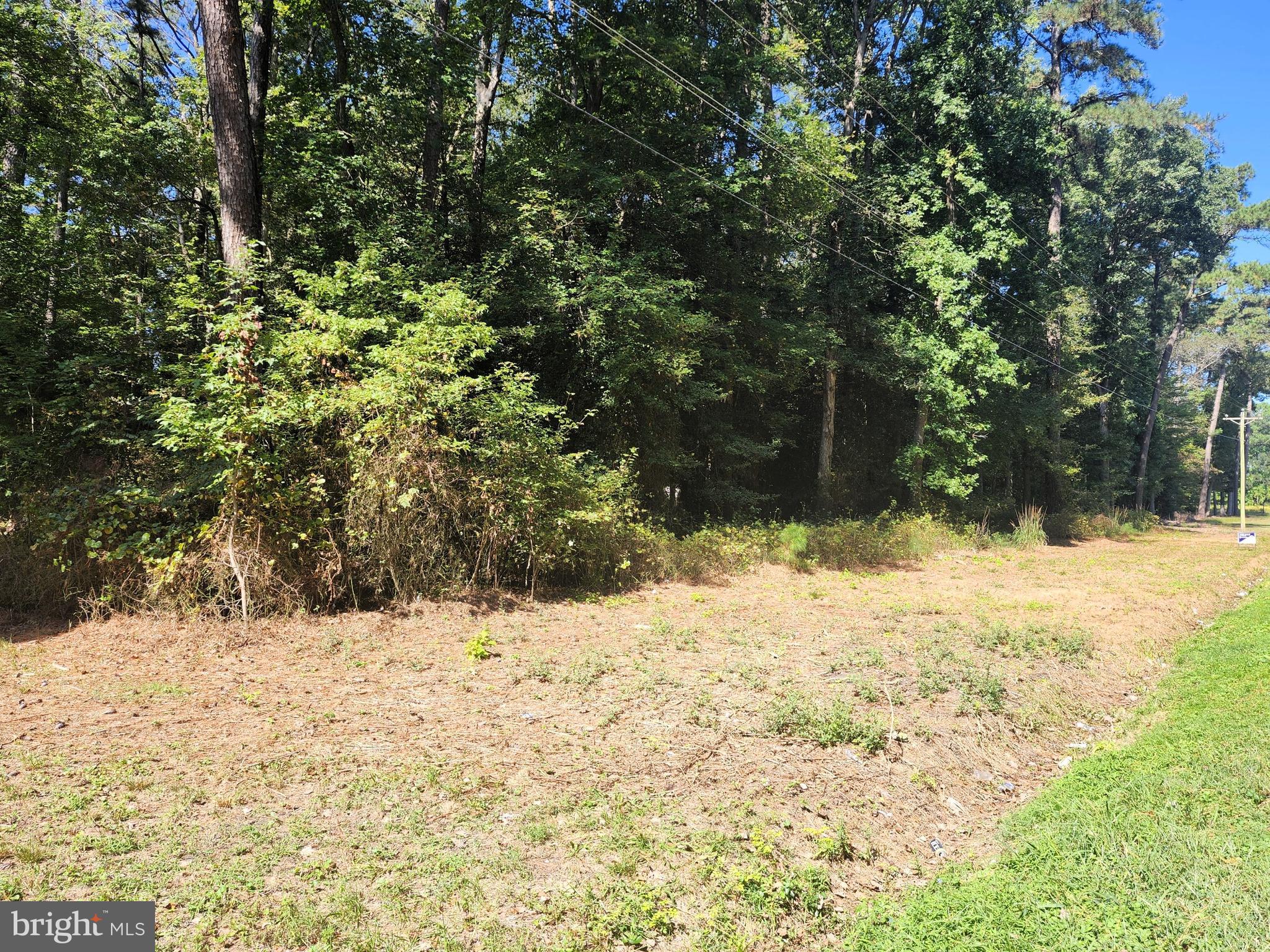 3960 St Lukes Road Salisbury, MD 21804 - Photo 4 of 10 a view of a yard covered in snow