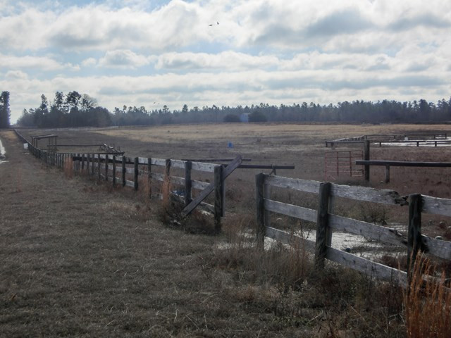 F & G Pickett Post Road Windsor, SC 29856 - Photo 7 of 18