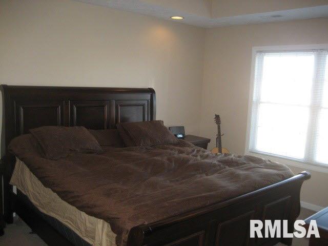 411 Prince Lane Herrin, IL 62948 - Photo 12 of 33