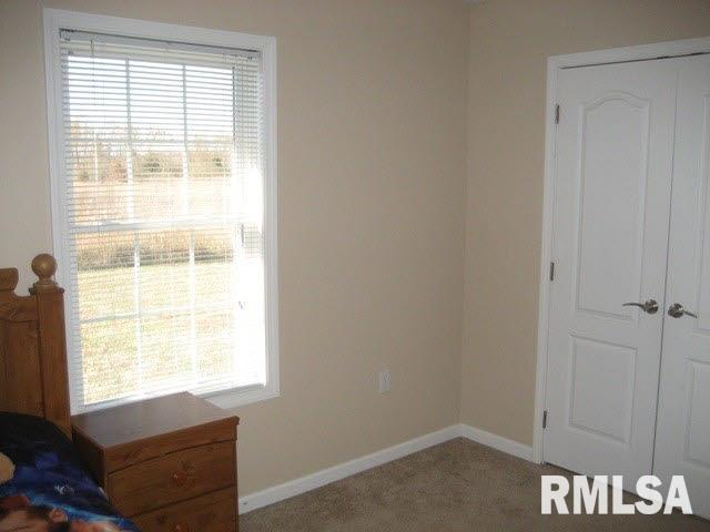 411 Prince Lane Herrin, IL 62948 - Photo 13 of 33