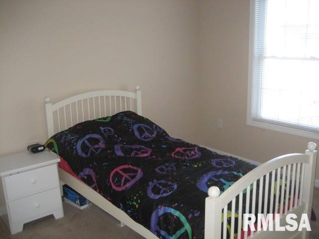 411 Prince Lane Herrin, IL 62948 - Photo 14 of 33