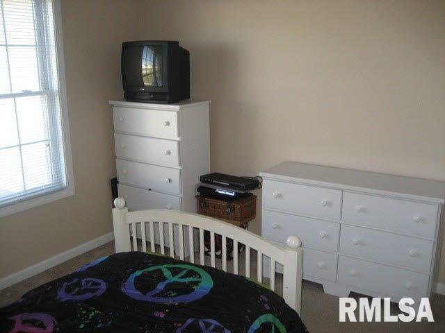 411 Prince Lane Herrin, IL 62948 - Photo 15 of 33