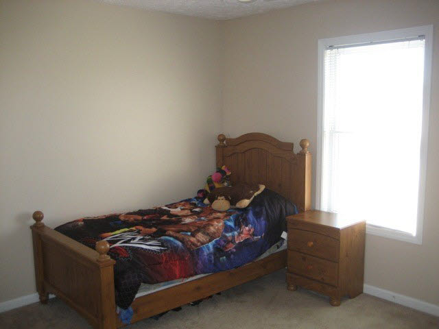 411 Prince Lane Herrin, IL 62948 - Photo 19 of 33