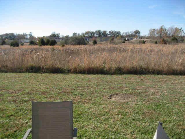 411 Prince Lane Herrin, IL 62948 - Photo 30 of 33