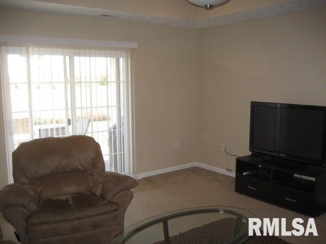 411 Prince Lane Herrin, IL 62948 - Photo 7 of 33