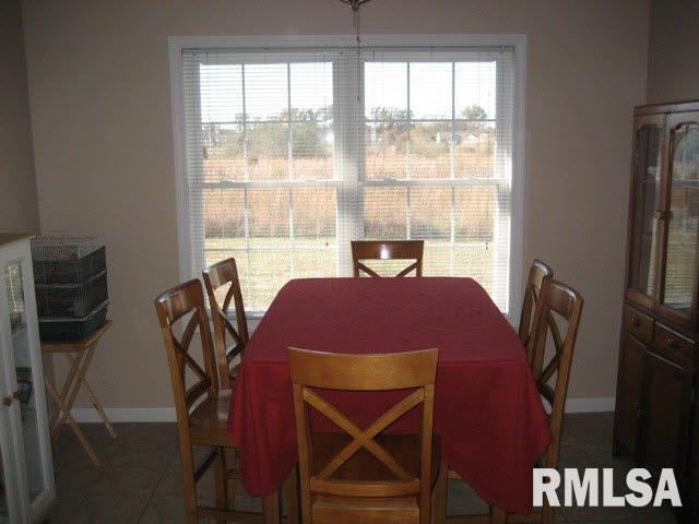 411 Prince Lane Herrin, IL 62948 - Photo 8 of 33