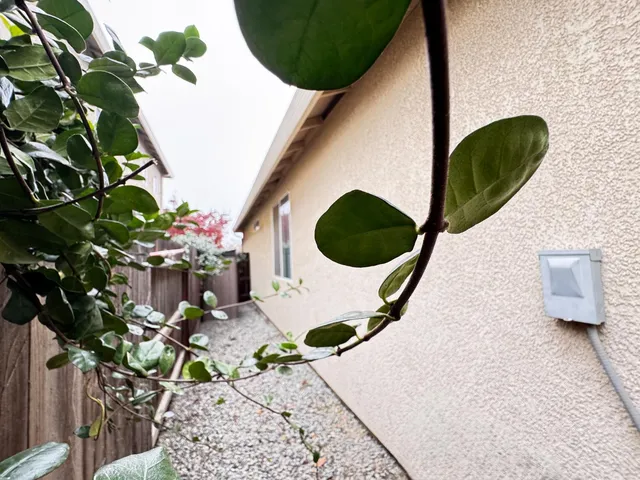 $440,000 | 2945 West Vine Avenue, Visalia, CA 93291