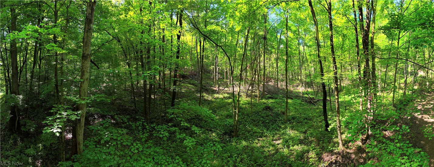Hoover Road Danville, OH 43014 - Photo 1 of 6 Gallery Image 1