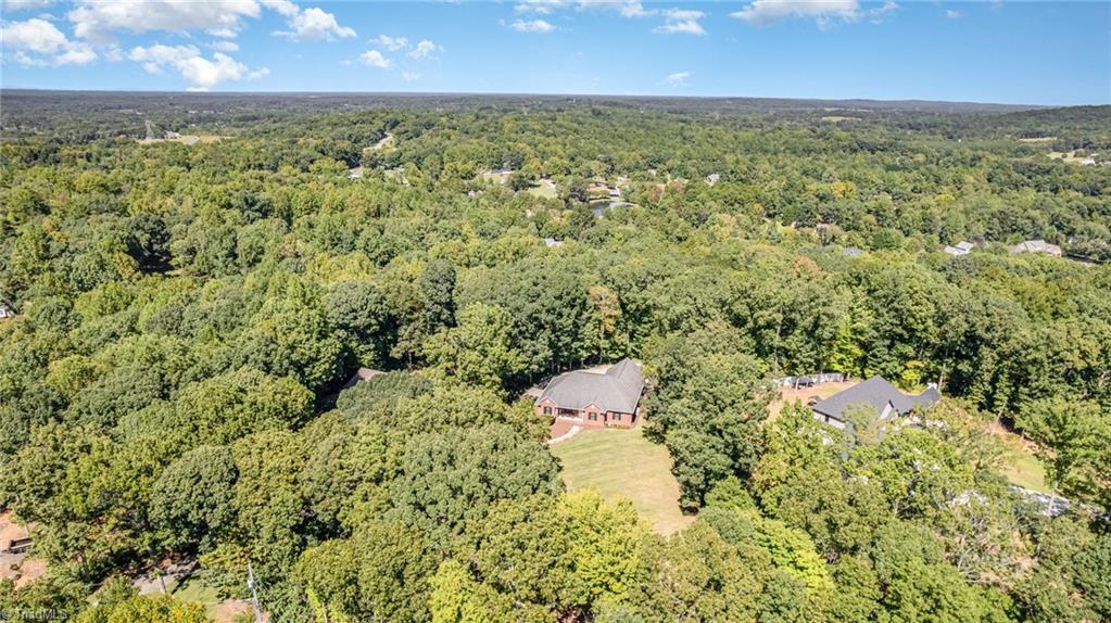 339 Old Burkhart Road Lexington, NC 27292 - Photo 38 of 39