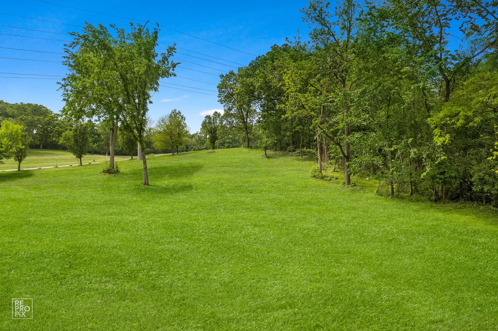10S641 South Garfield Street Burr Ridge, IL 60527 - Photo 7 of 15 a view of an outdoor space and yard