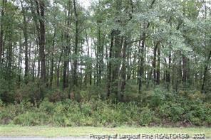 0 Mcmillian Road Maxton, NC 28364 - Photo 2 of 2 Photo 2
