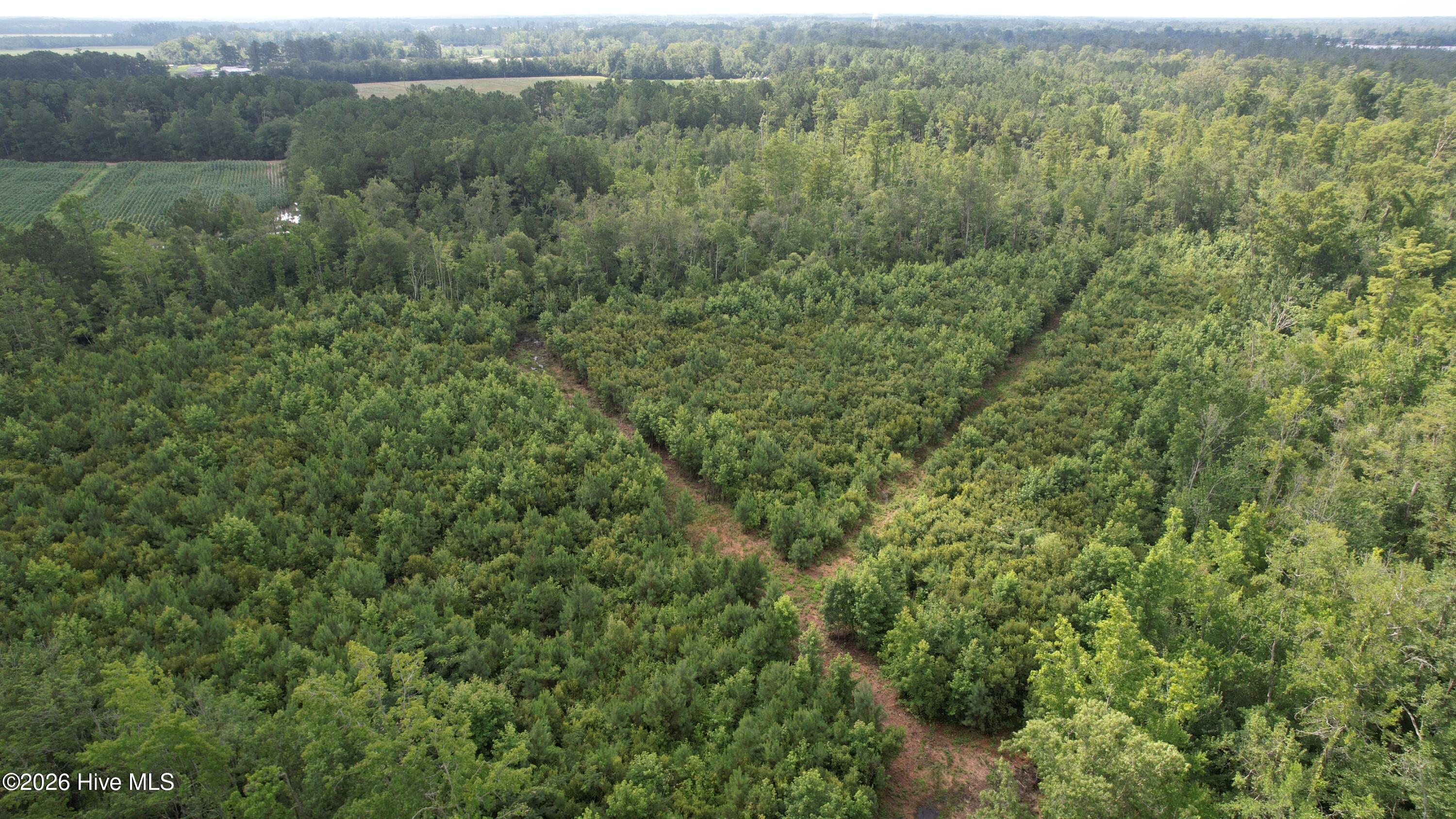 dji_fly_20230710_103806_578_168900019731