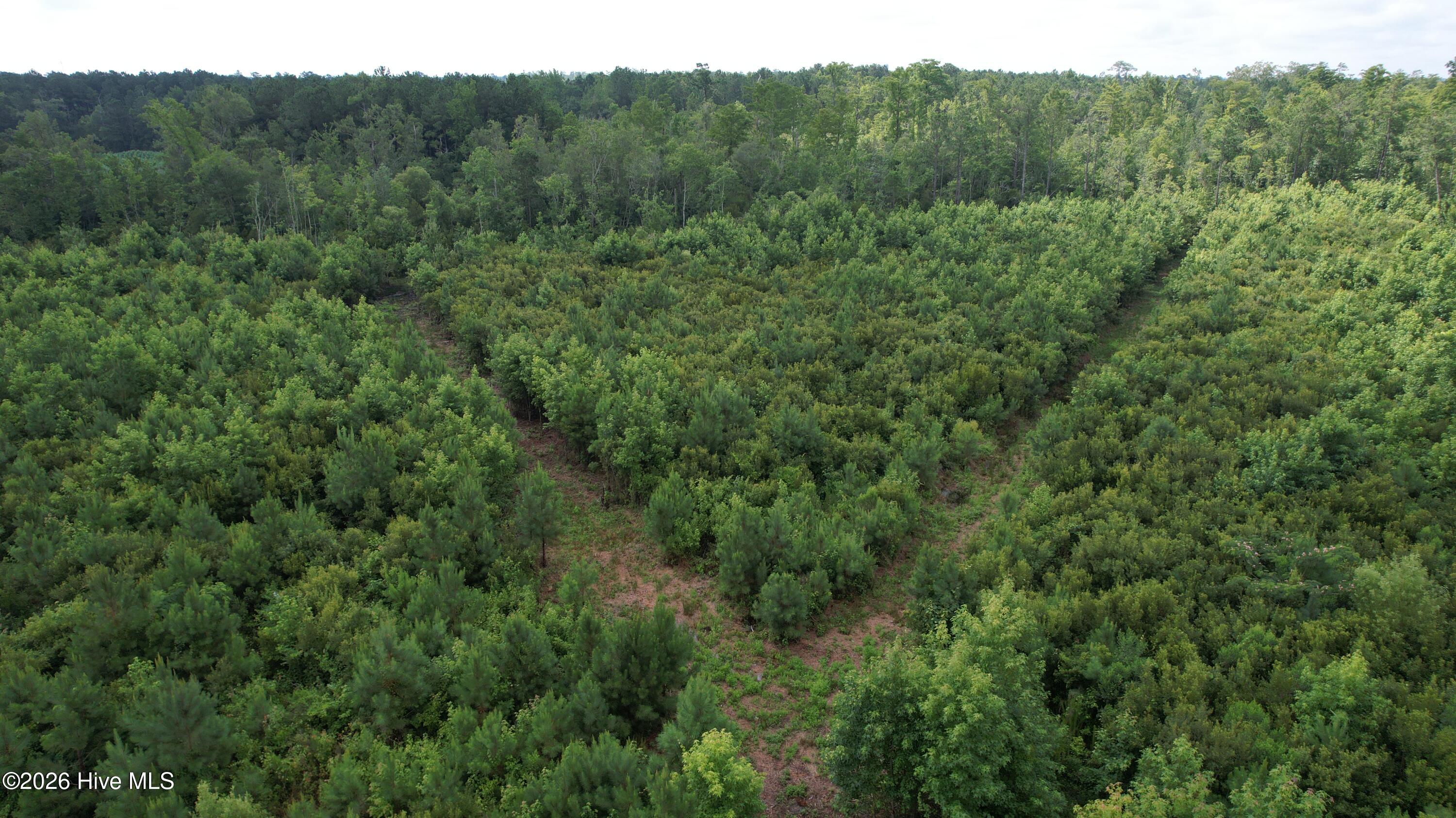 421 Riverneck Road Columbia, NC 27925 - Photo 2 of 6 dji_fly_20230710_103840_579_168900019325