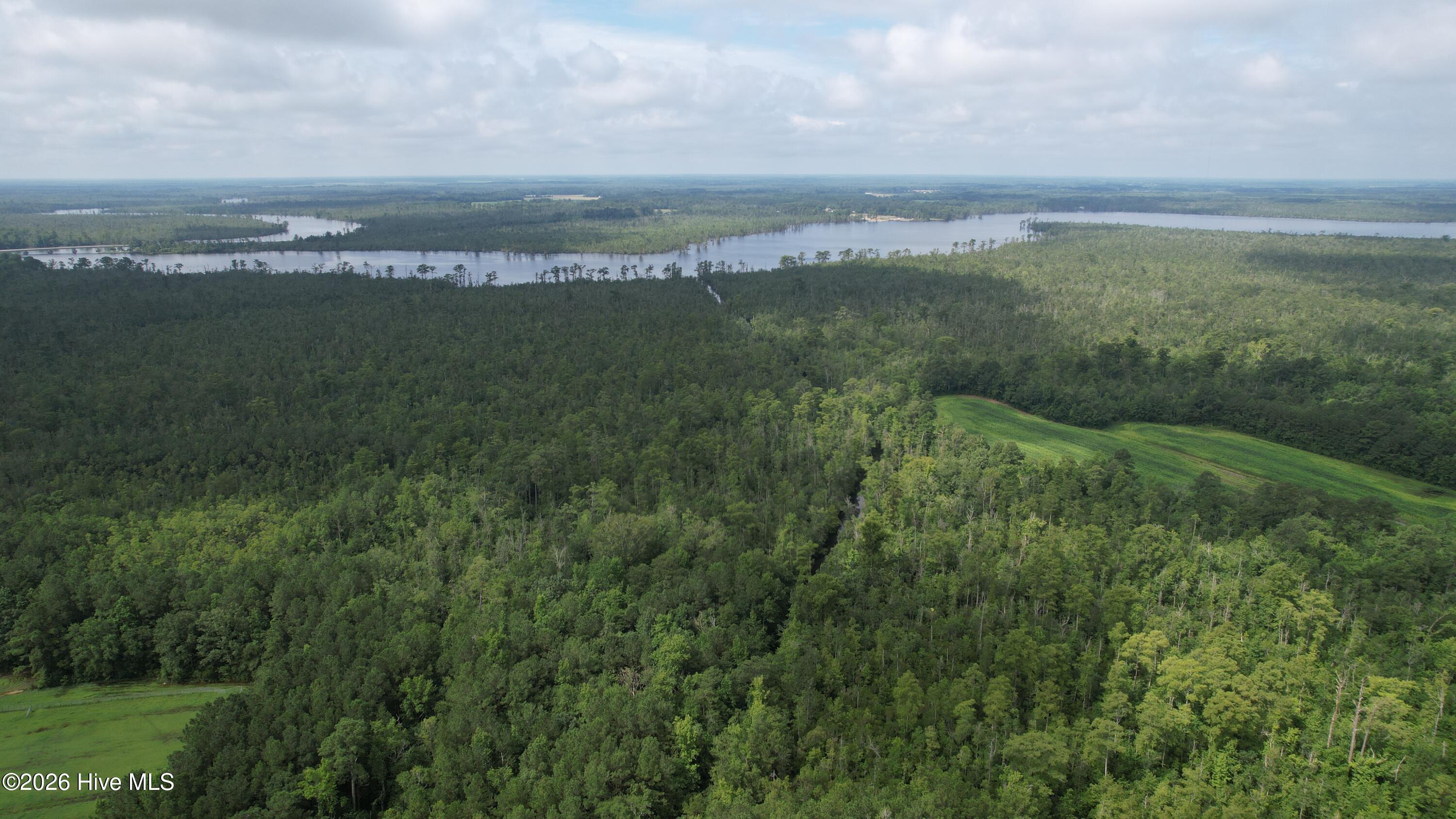 421 Riverneck Road Columbia, NC 27925 - Photo 4 of 6 dji_fly_20230710_103616_575_168900020937