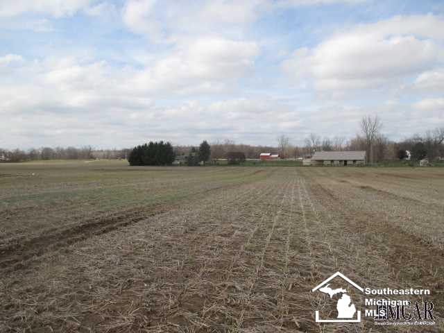 1101 Plank Road Dundee, MI 48131 - Photo 13 of 21