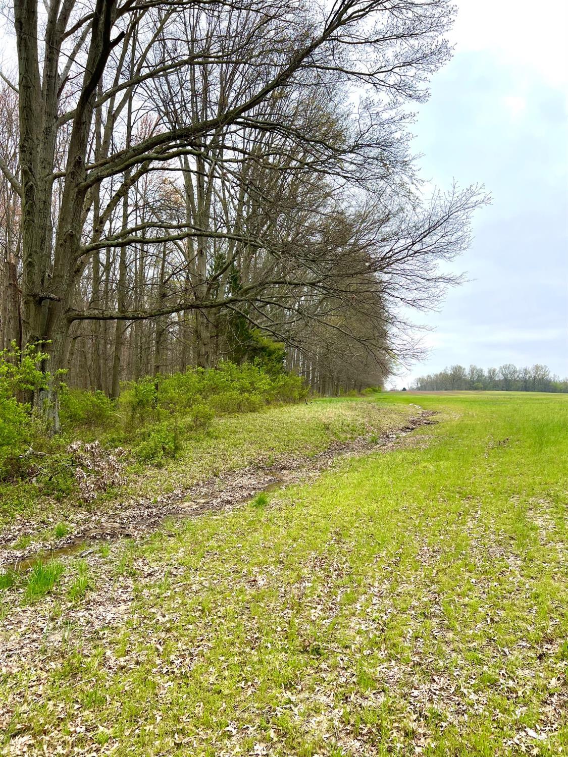8294 Marks Road Georgetown, OH 45121 - Photo 25 of 96