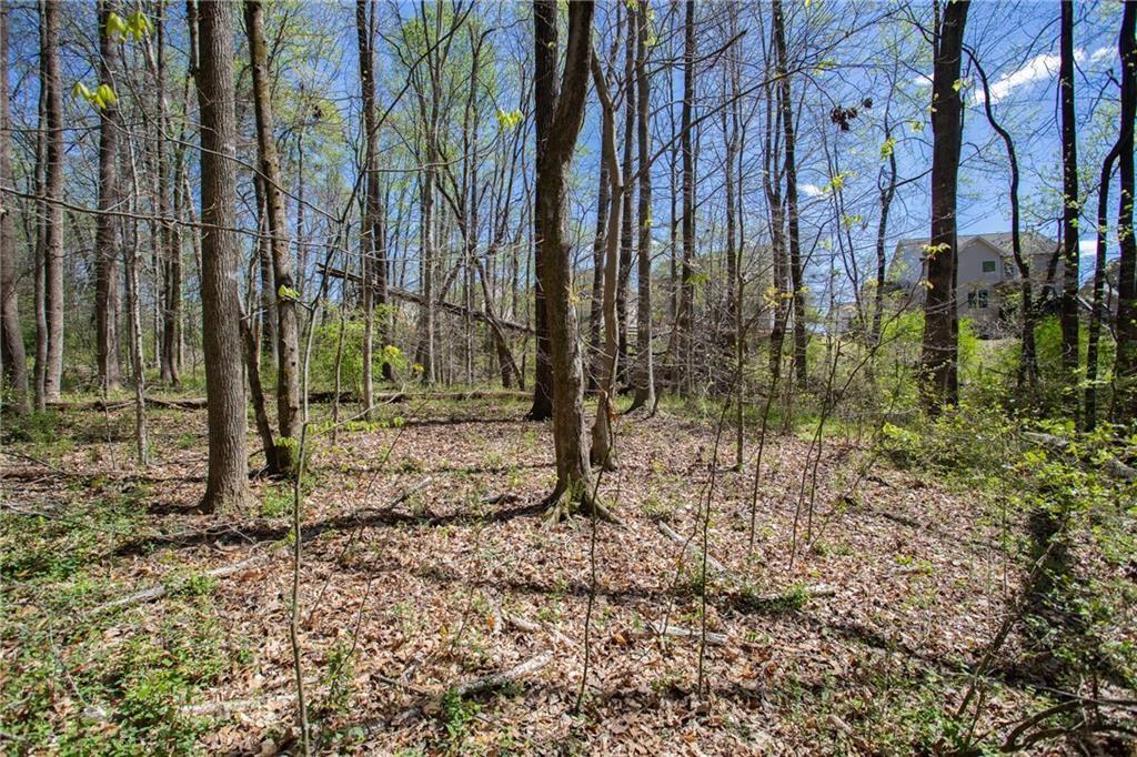 4225 Penion Point Cumming, GA 30028 - Photo 2 of 9 a backyard of a house with lots of green space