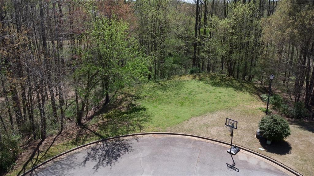 4225 Penion Point Cumming, GA 30028 - Photo 8 of 9 a view of a backyard