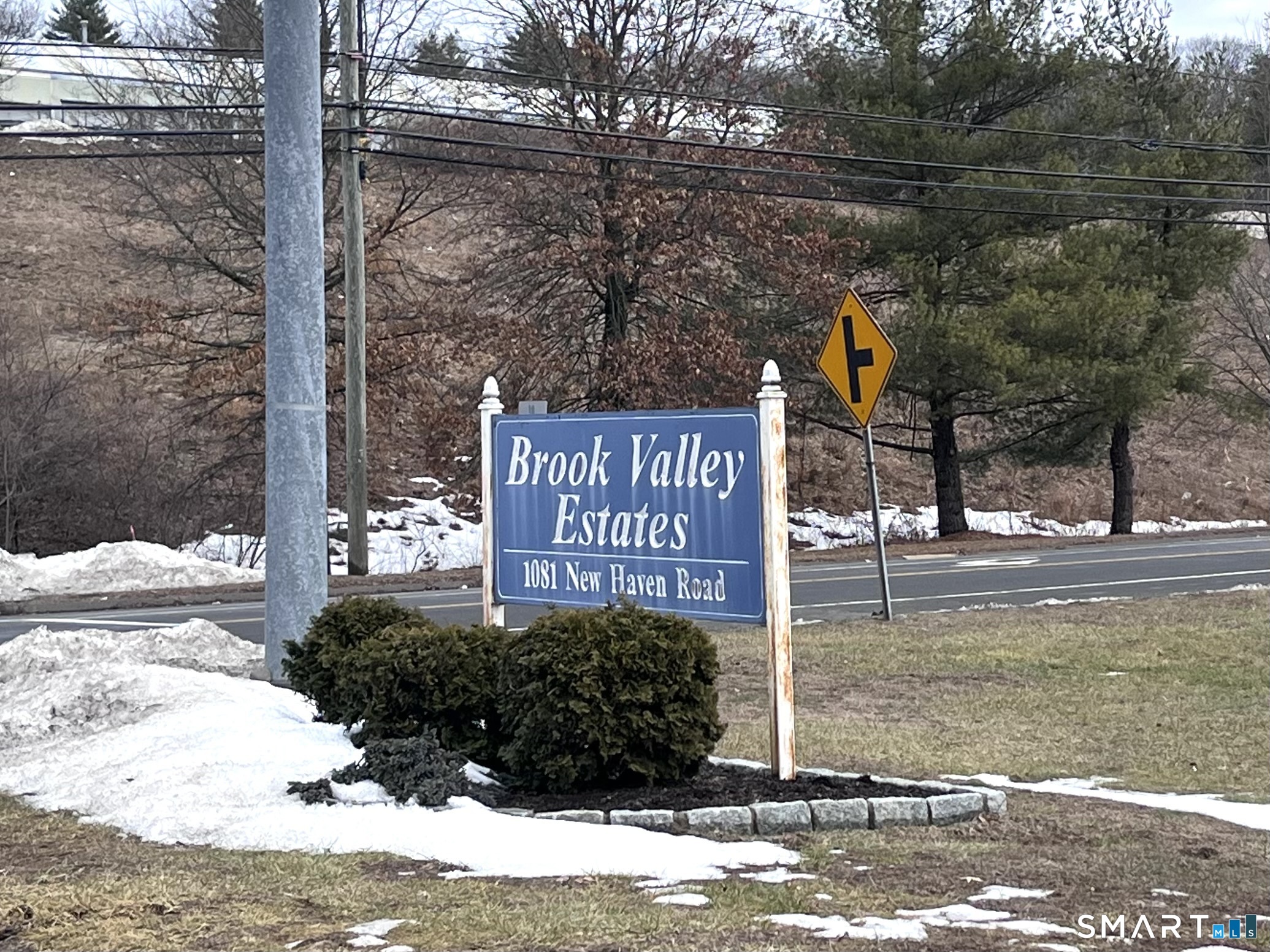 a view of a street with potted plants