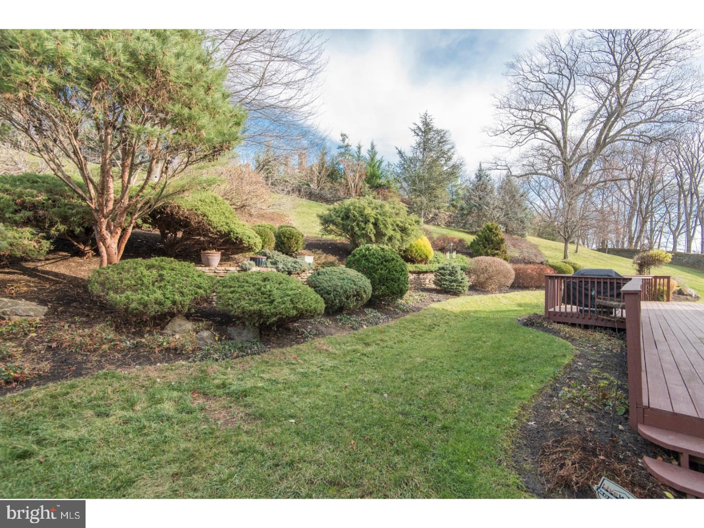 616 Newtown Road Villanova, PA 19085 - Photo 3 of 24 View in Back