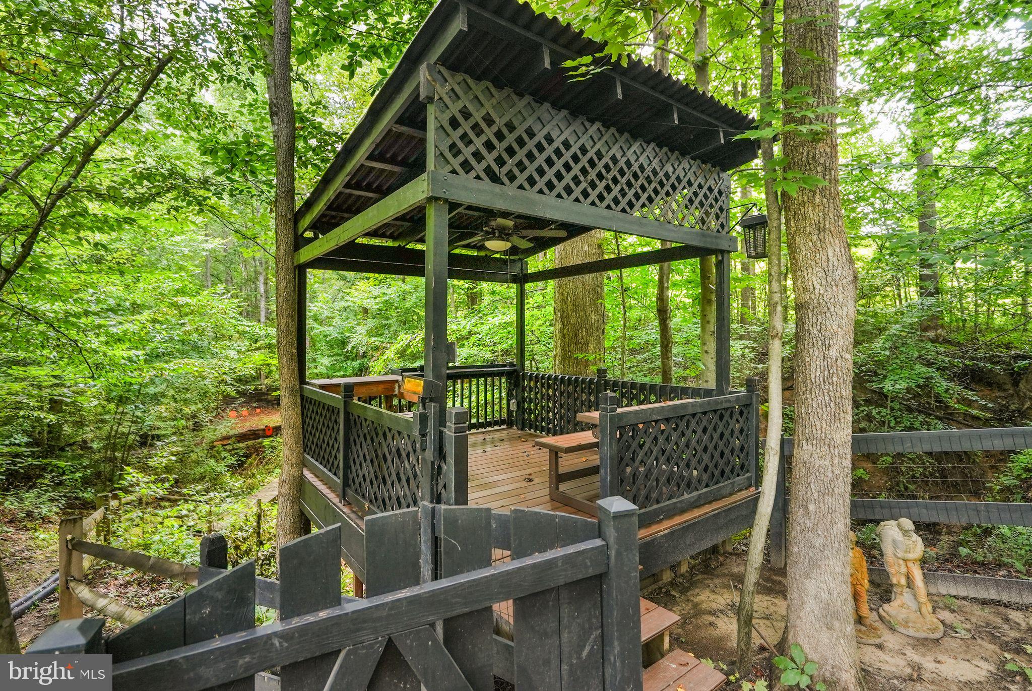 32 Pinewood Road Fredericksburg, VA 22405 - Photo 69 of 82 Observation Platform!
