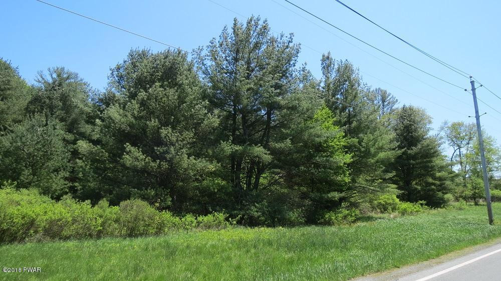 46.2 Eckes Road Narrowsburg, NY 12764 - Photo 5 of 7