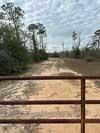 3304 Sears Road Chipley, FL 32428 - Photo 11 of 12