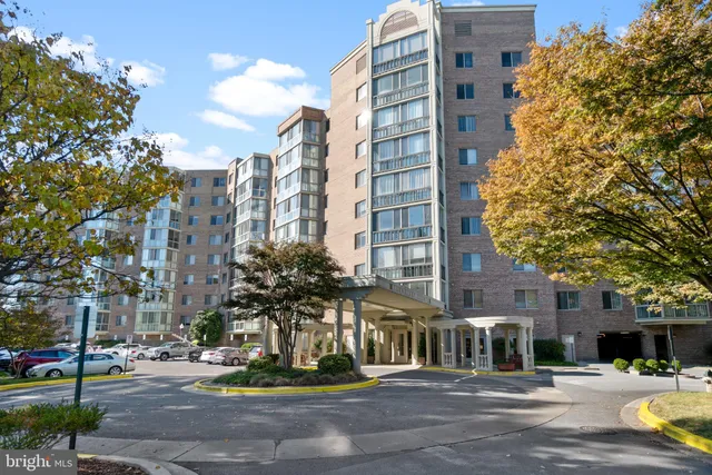 a view of a garden with flowers