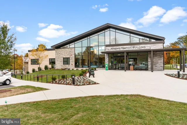 a living room with furniture potted plant and a window