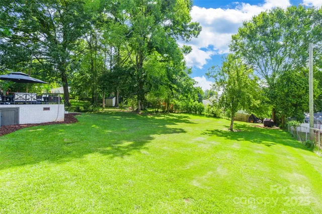 a view of a backyard with a garden and trees
