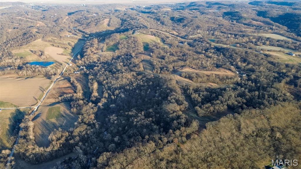 1697 Kintown Hollow Road Hardin, IL 62047 - Photo 4 of 8