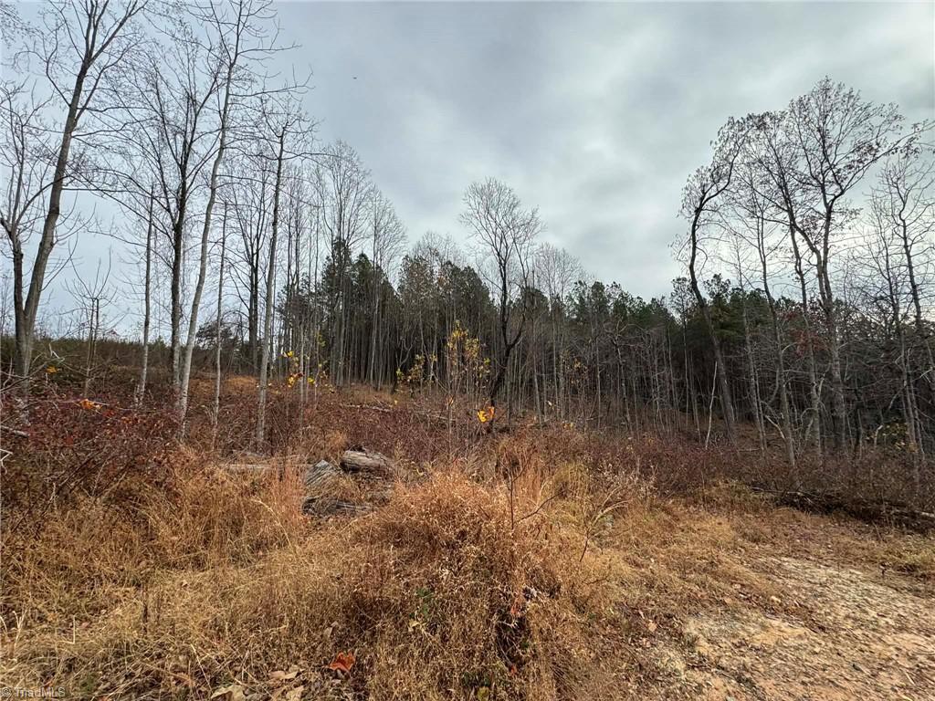 Tbd Old Railroad Grade Road Thurmond, NC 28683 - Photo 13 of 26
