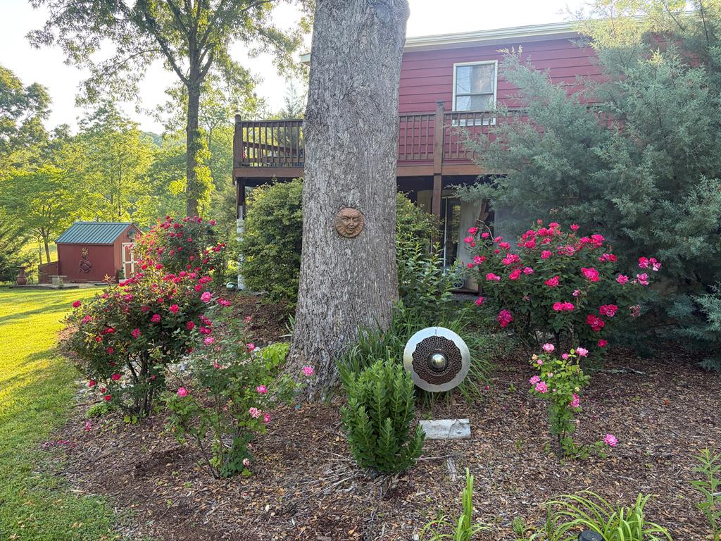 157 Sims Road Hiawassee, GA 30546 - Photo 34 of 50