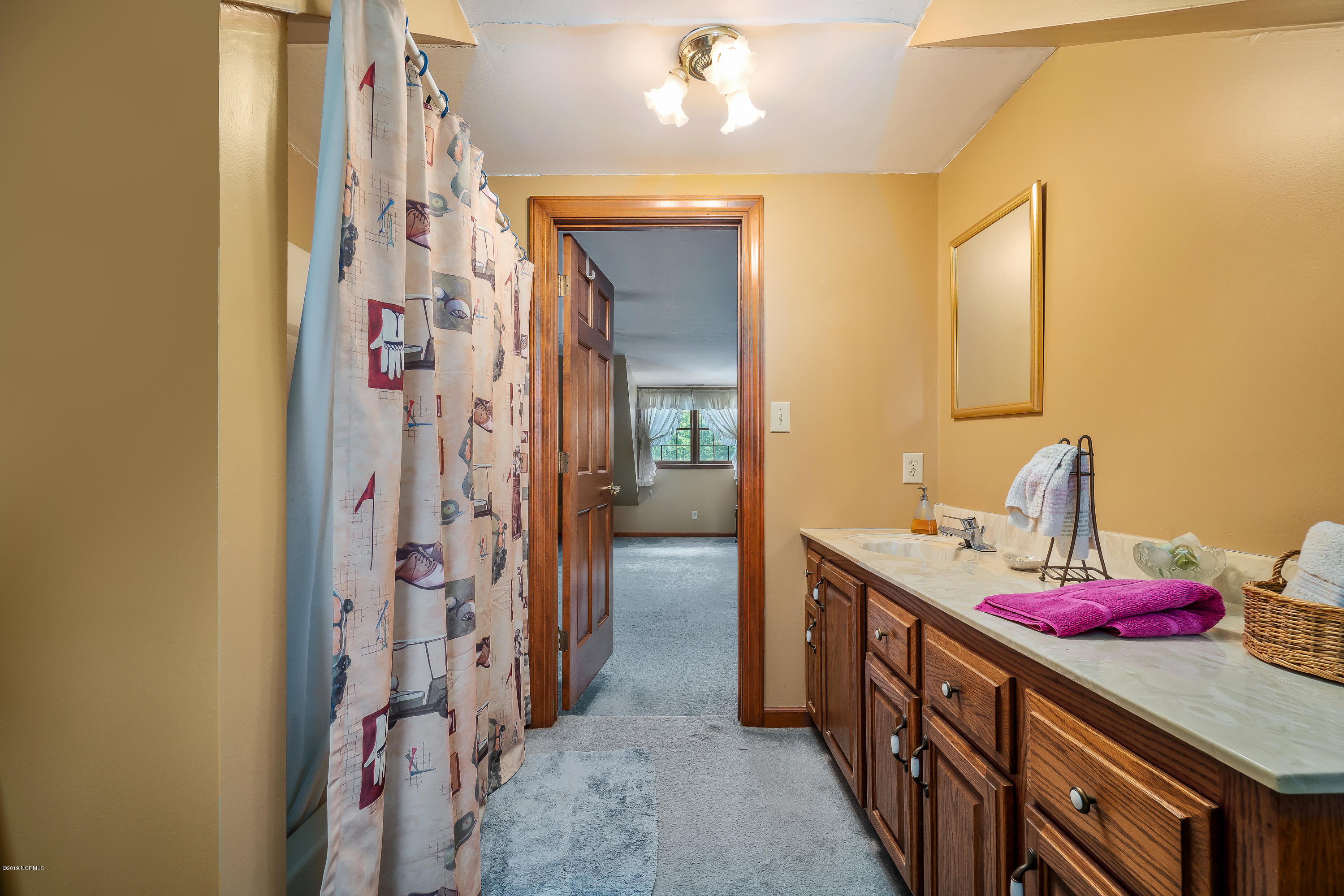 800 Roberts Road Newport, NC 28570 - Photo 54 of 79 Bathroom off Bonus Room