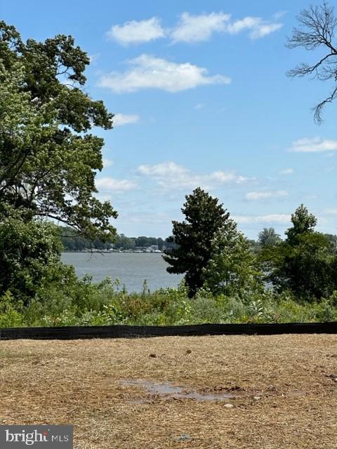 246 Waterstone Road Essex, MD 21221 - Photo 21 of 24