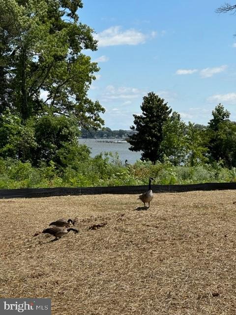 246 Waterstone Road Essex, MD 21221 - Photo 23 of 24