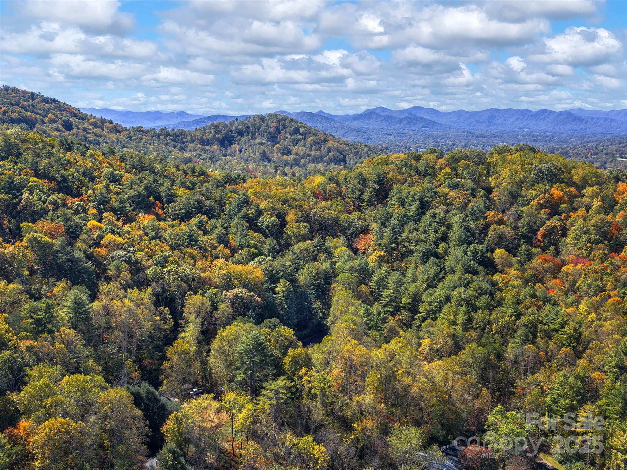 51 Rice Branch Road Asheville, NC 28804 - Photo 39 of 48 a view of a city with mountains in the background