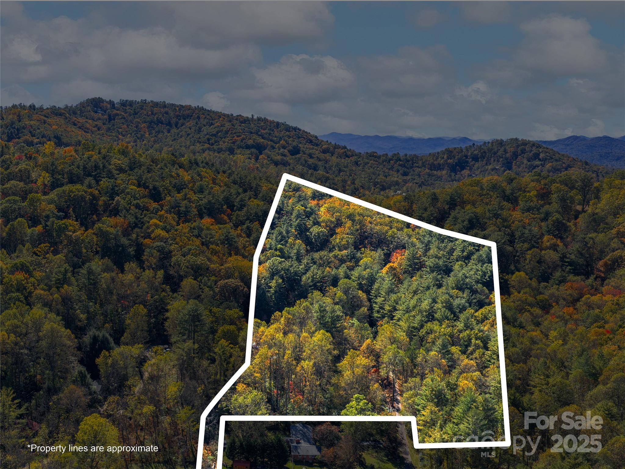 51 Rice Branch Road Asheville, NC 28804 - Photo 40 of 48 an aerial view of a residential house