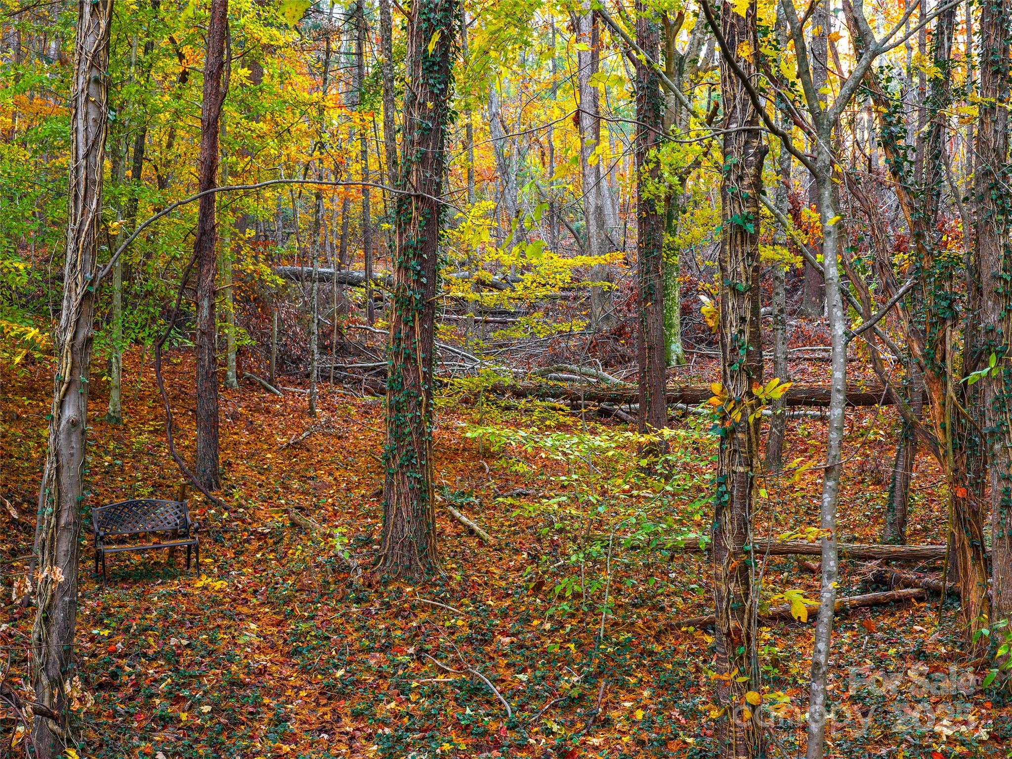 51 Rice Branch Road Asheville, NC 28804 - Photo 46 of 48