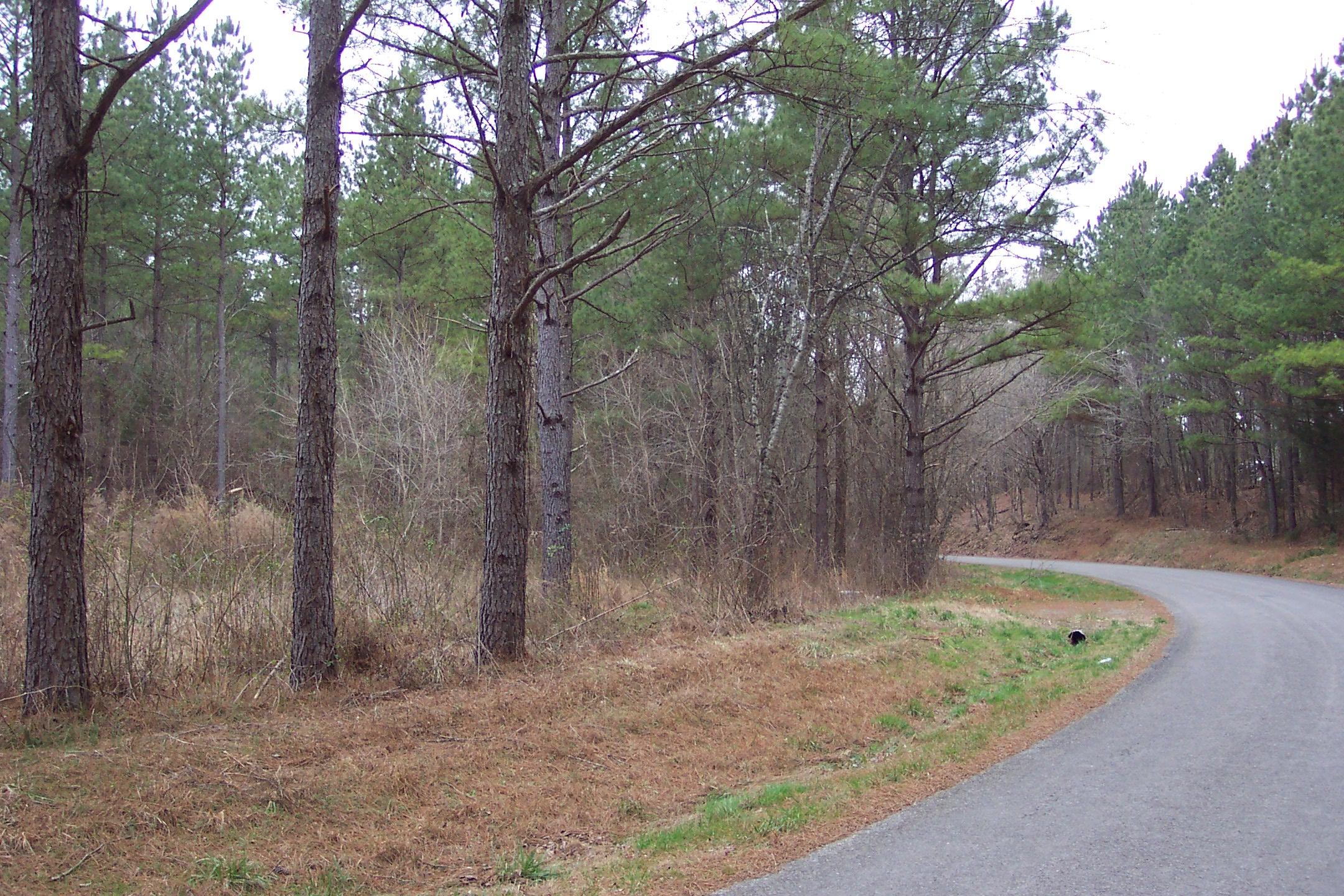 230 Co Road Calhoun, TN 37309 - Photo 2 of 5 102_3418