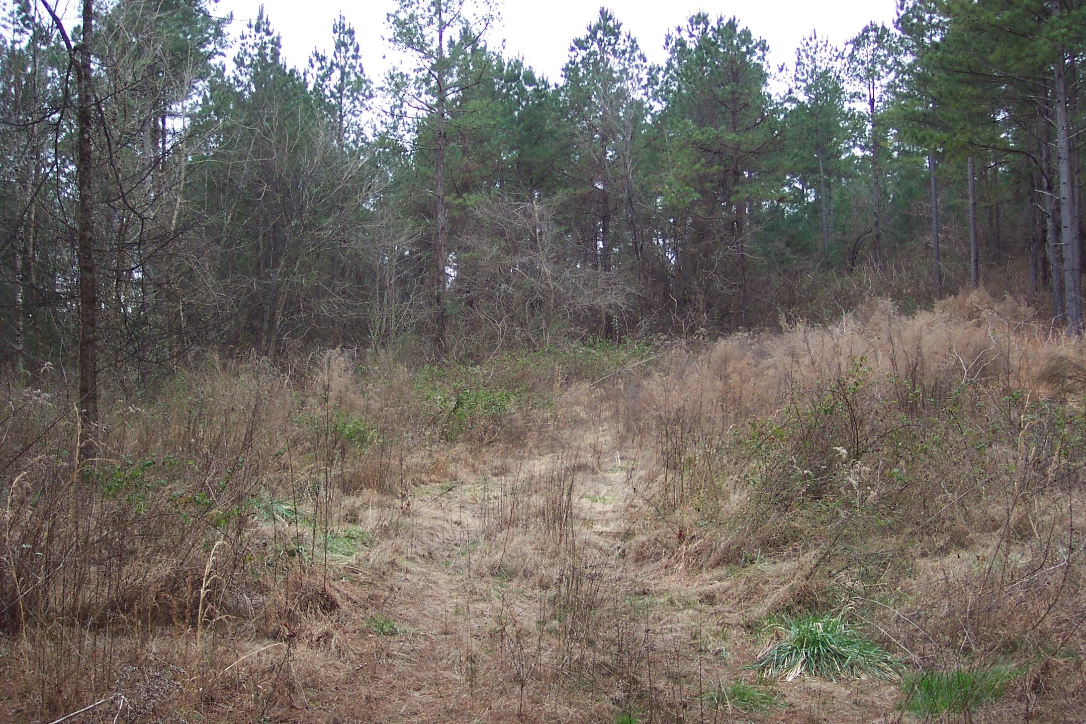 230 Co Road Calhoun, TN 37309 - Photo 4 of 5 102_3420
